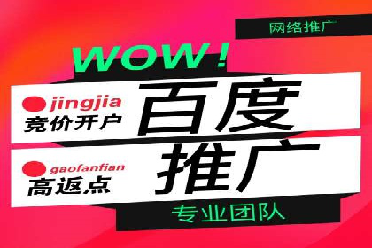 百度竞价代运营公司成功案例揭秘：策略与执行